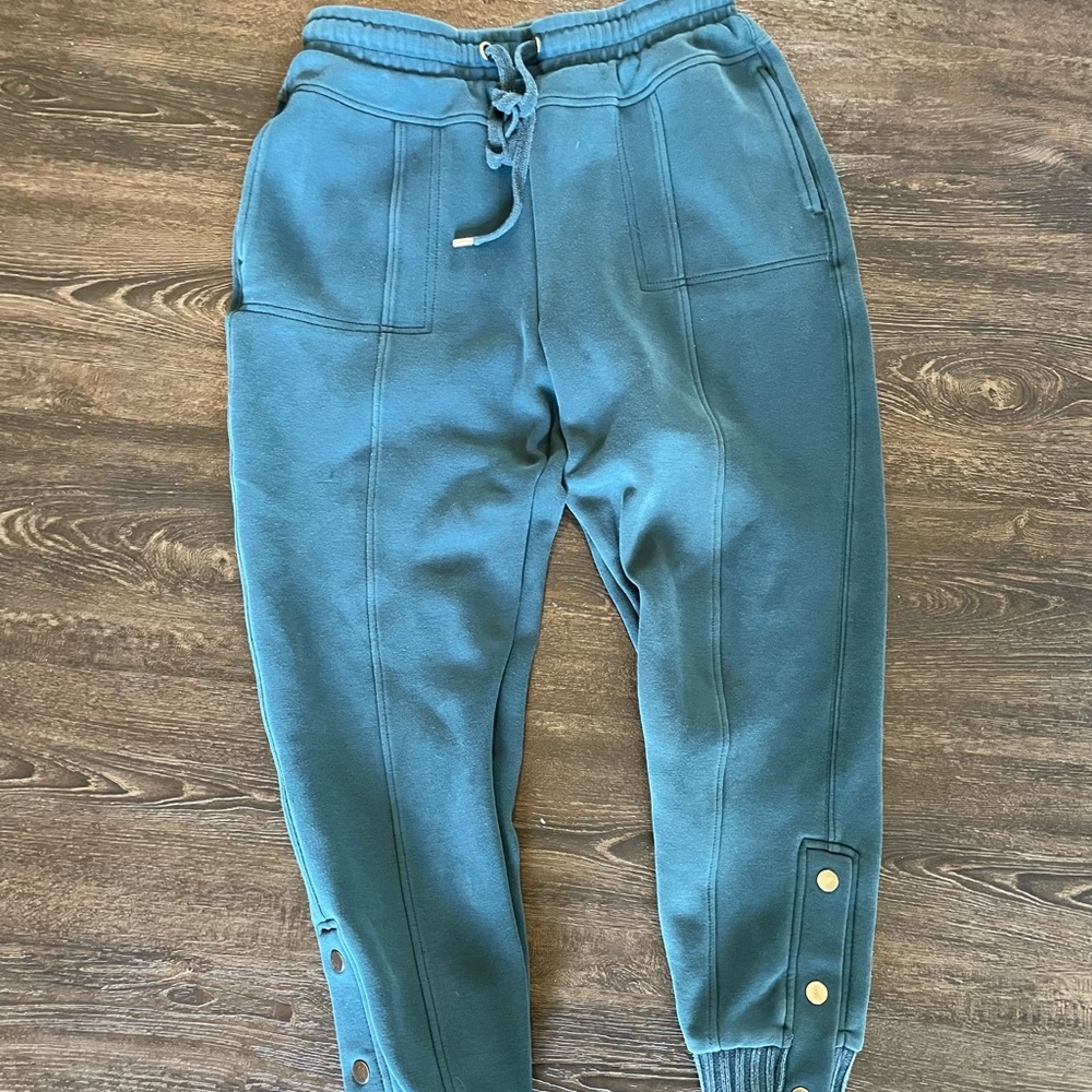 Anthropology joggers